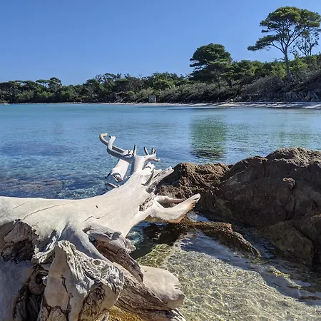 T2 Avec Jardin, Clim&piscine - Proche Plages Et Randos, Parking Privé - La Rascasse Apartamento Hyères