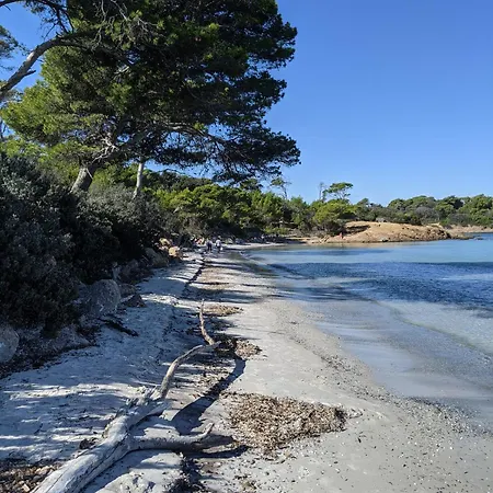Apartamento T2 Avec Jardin, Clim&piscine - Proche Plages Et Randos, Parking Privé - La Rascasse Hyères